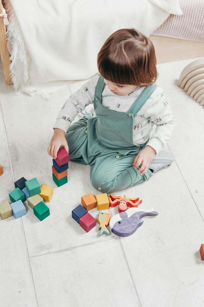 How to Choose the Best Educational Toys for Your Baby